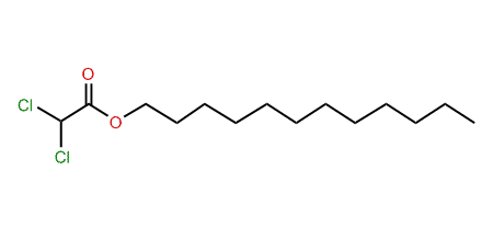 Dodecyl dichloroacetate
